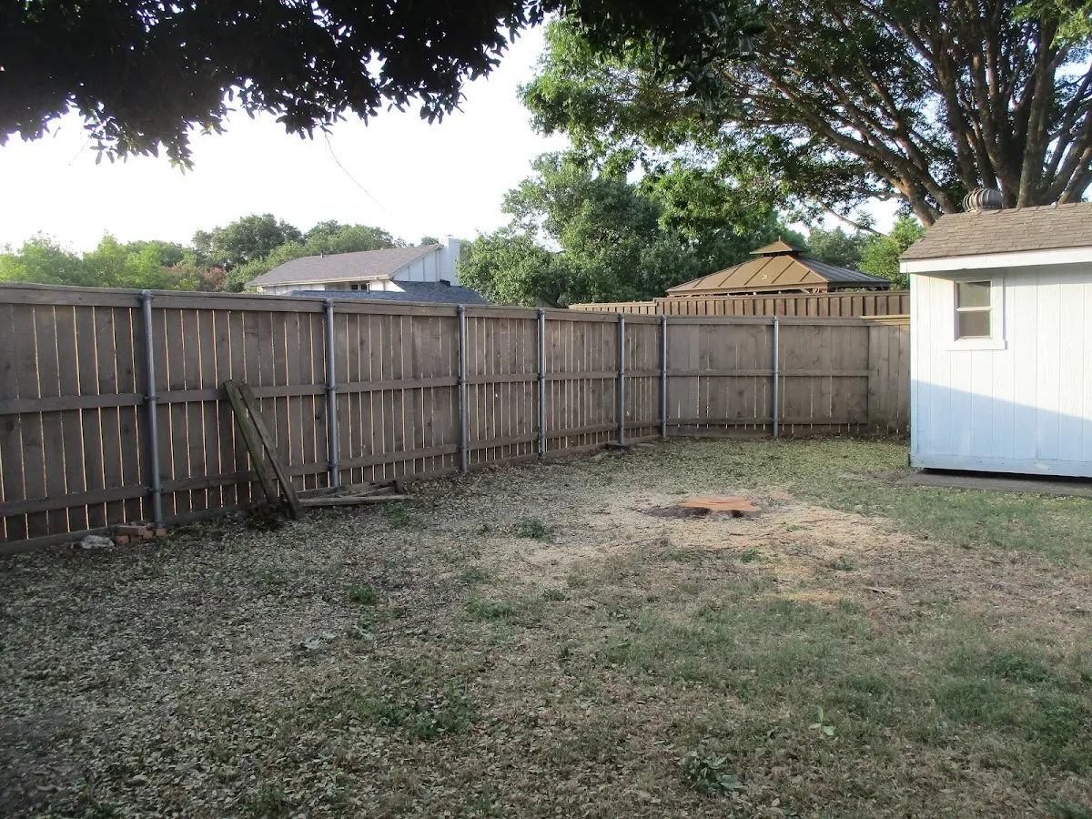 Cleared yard after professional tree removal in Little America